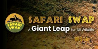Safari SWAP