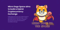 Micro Doge Space ICO