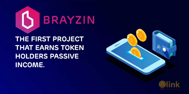 ICO Brayzin