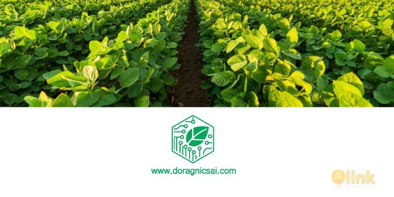 ICO DorganicAI