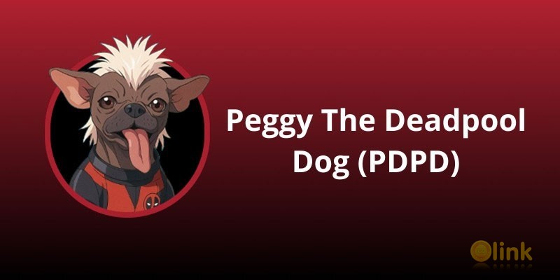 ICO PEGGY THE DEADPOOL DOG