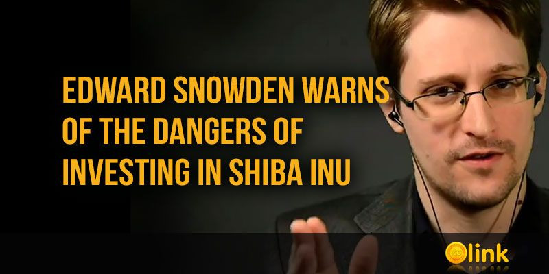Snowden-Shiba-Inu