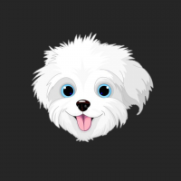Bichon Dog
