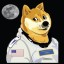 Doge Space Fleet