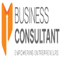 Business Consultant