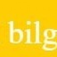 Bilgecoin