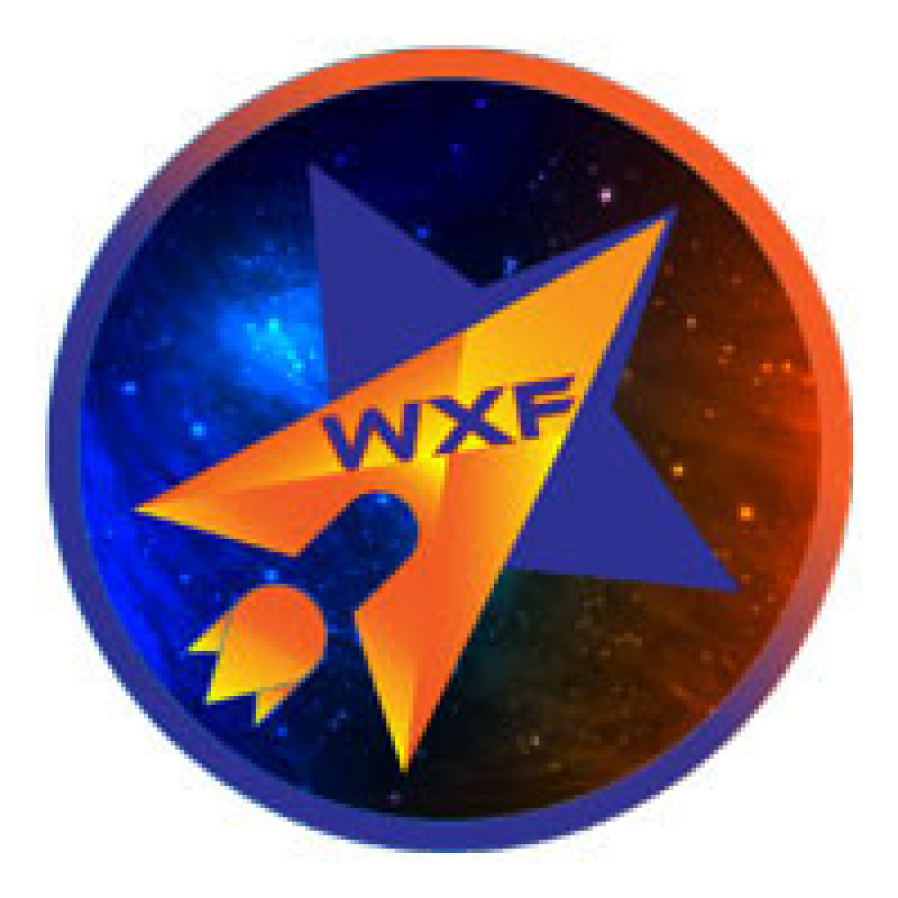 logo-world-x-foundation_large
