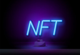 nft-development-services-novice_thumbnail