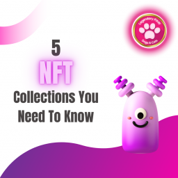 collections-you-need-to-know_thumbnail